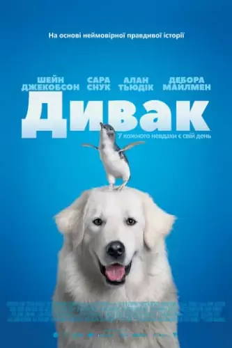 Дивак (2015)